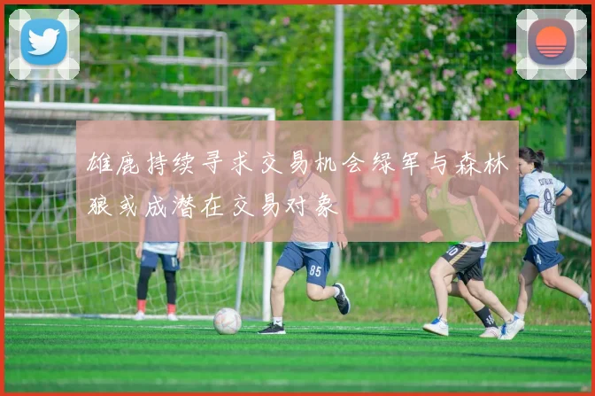 雄鹿持续寻求交易机会绿军与森林狼或成潜在交易对象