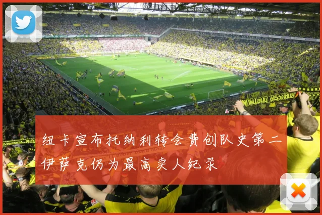 纽卡宣布托纳利转会费创队史第二伊萨克仍为最高卖人纪录